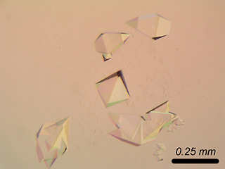 Crystals of carbonic anhydrase II